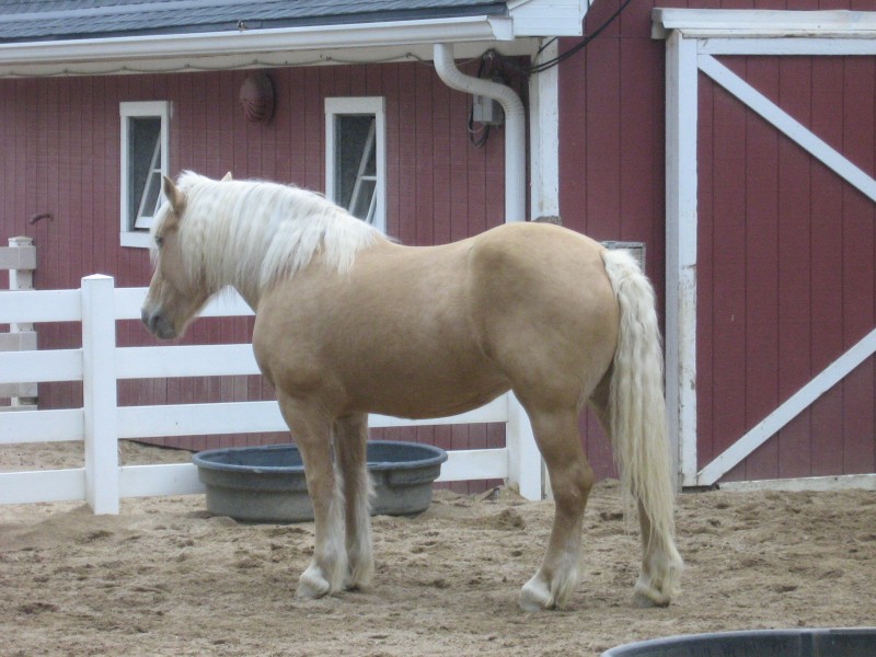 17600-800